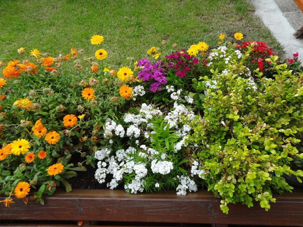 Cabanas De Nene Aparts Ελ Καλαφάτε Εξωτερικό φωτογραφία